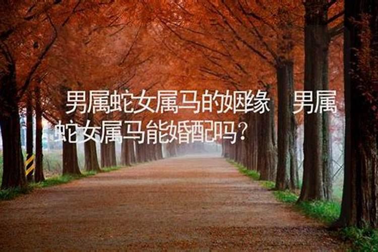 男蛇女马千万别在一起