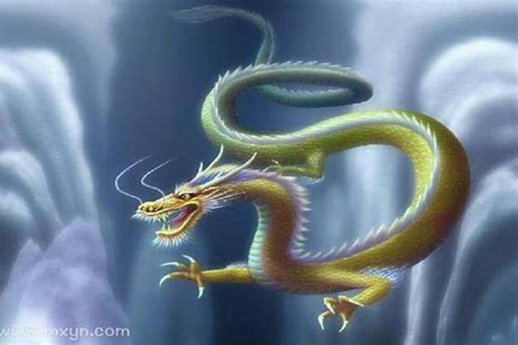 梦见死人头上很多虱子