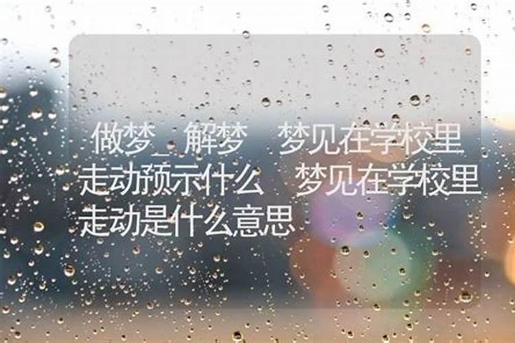 梦见在大学校园里走的预兆