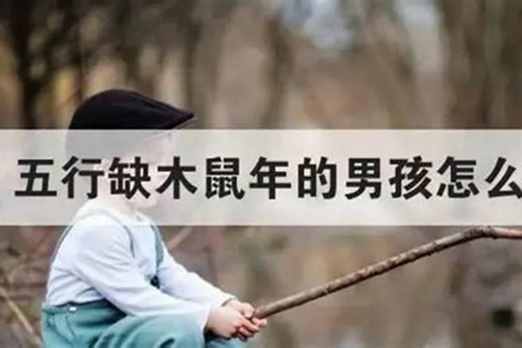 缺木男孩名字100分的
