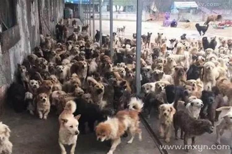 梦见自己来到陌生村庄是什么意思