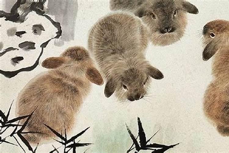 八字三合是什么意思