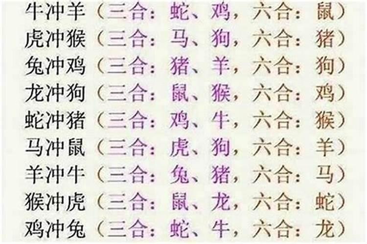 最好的婚姻八字六合 如何看两人八字合不合