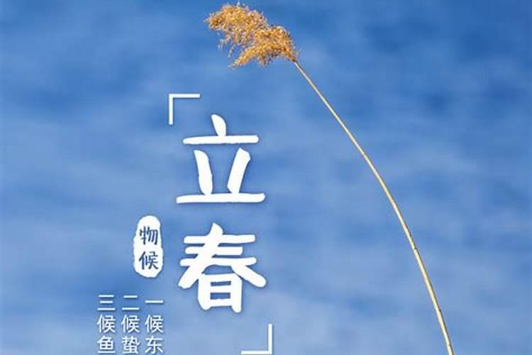 眉毛里长出两根很长的毛这在面相里是什么意思