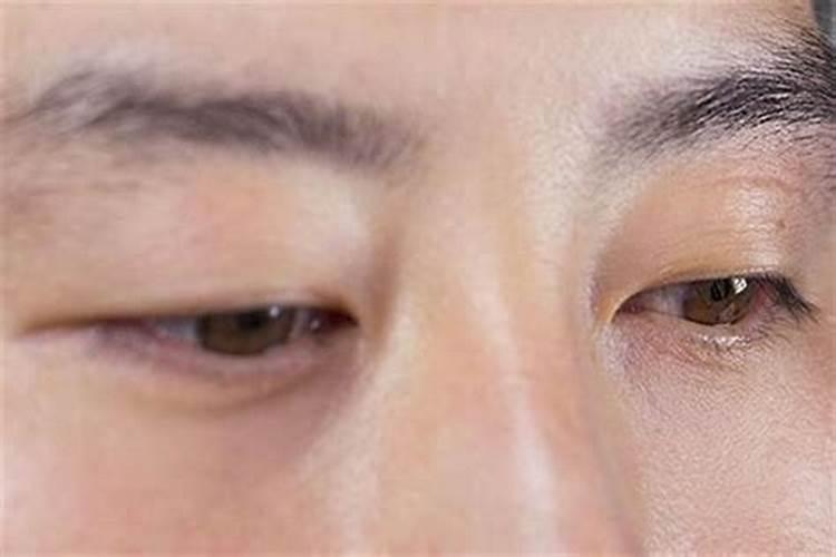 属马2024年全年运势如何