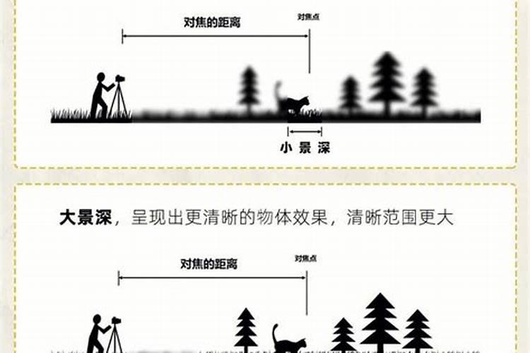 历史上的婚姻形式是什么
