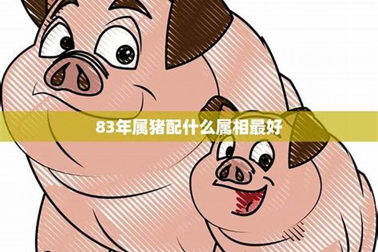 属猪的和什么属相最配