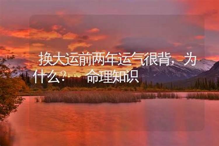 2025属鸡人的全年运势及运程如何