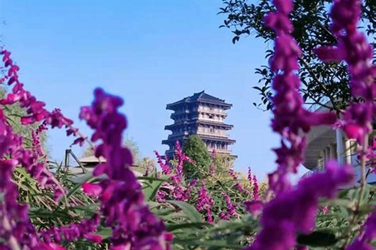 汉中春节活动汉台活动整理