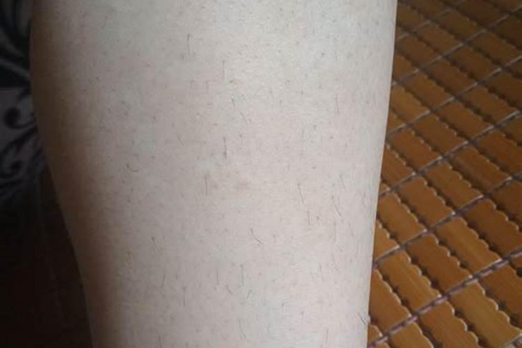 剃腿毛影响人的运势吗