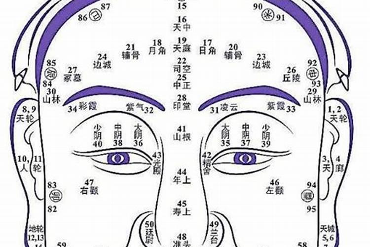 77年蛇女2025年每月运势及运程