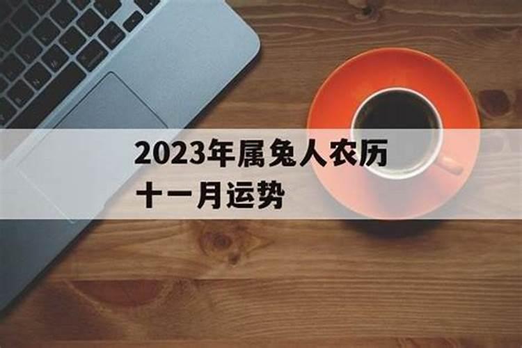 农历11月出生属兔人命好吗