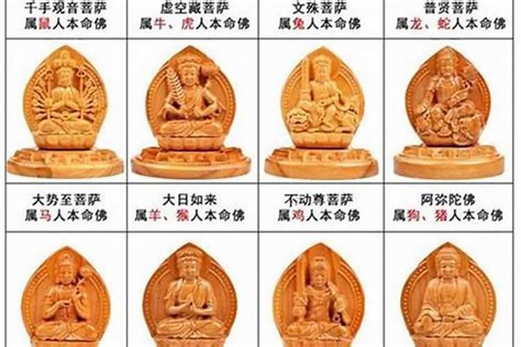 重阳节民间有什么风俗