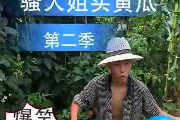 属猪养什么花草最旺财