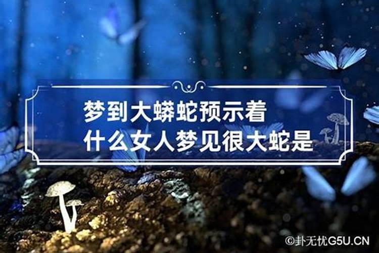 梦见自己被大蟒蛇追赶有什么寓意