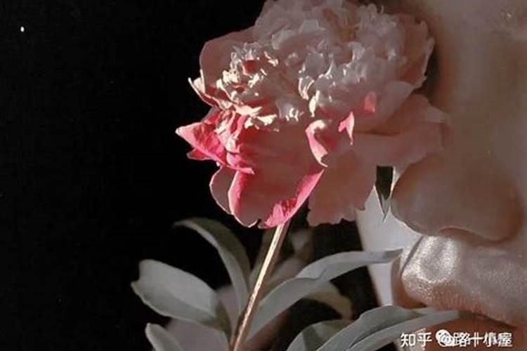 怎样才叫好的婚姻？