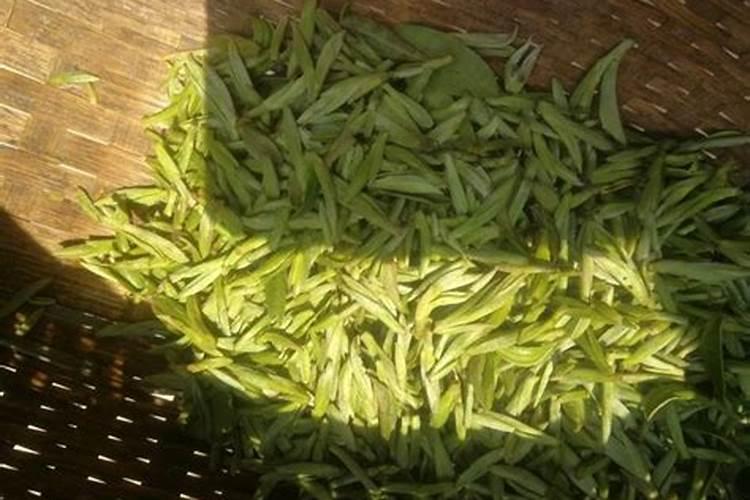 堕胎后应该念什么经超度孩子灵魂,为自己开运？
