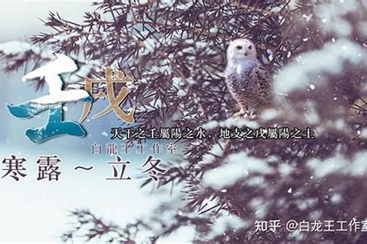 1982年属狗女2024年全年运势及每月运势