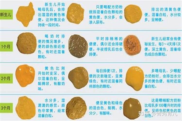 梦见自己儿子拉了便便让我吃的预兆