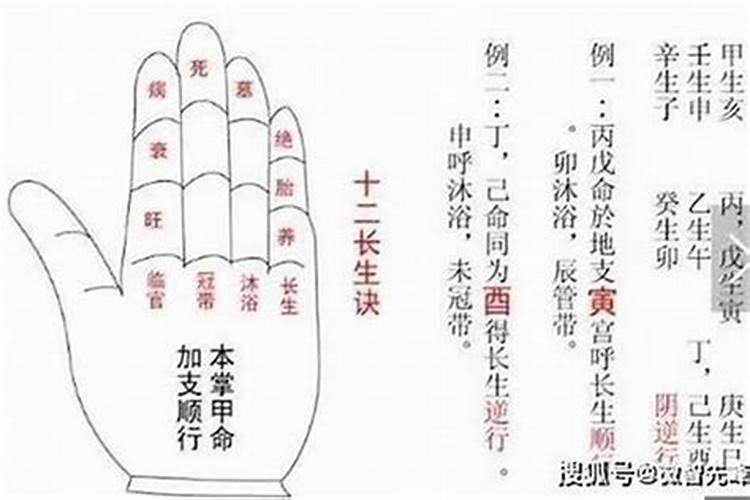 八字有文昌星,学习一定好么？