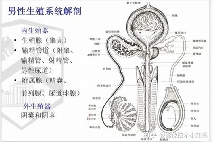 中国求姻缘最灵的三大寺庙