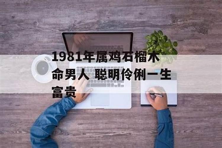 1981年属鸡的是什么命(一生运势分析)