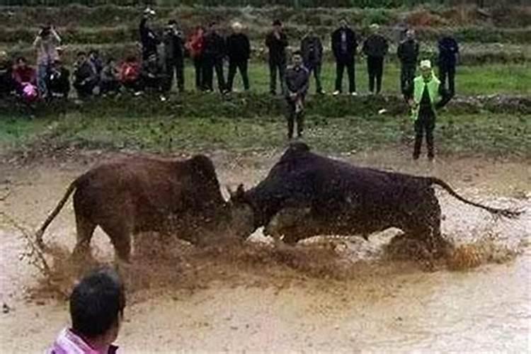 重阳节要祭拜死去的人吗？