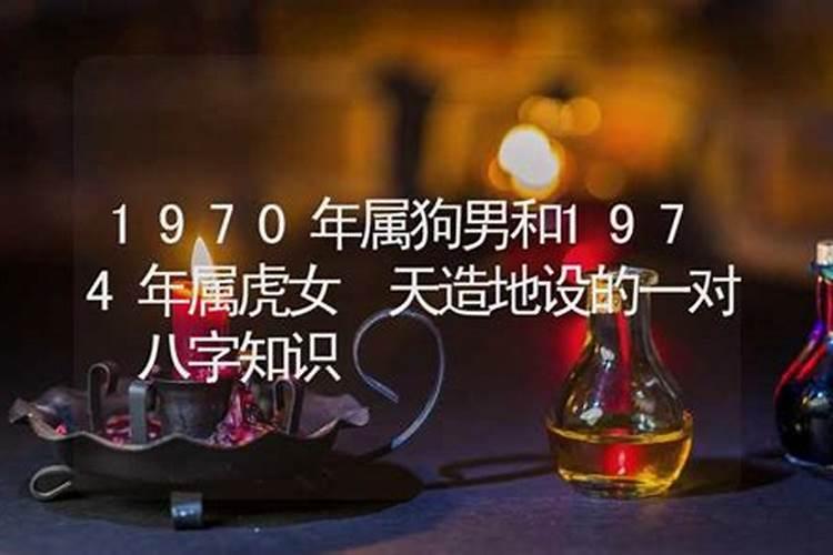 属狗人2025年每月运势及运程详解