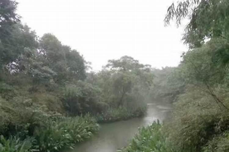 清明节出生的人命运