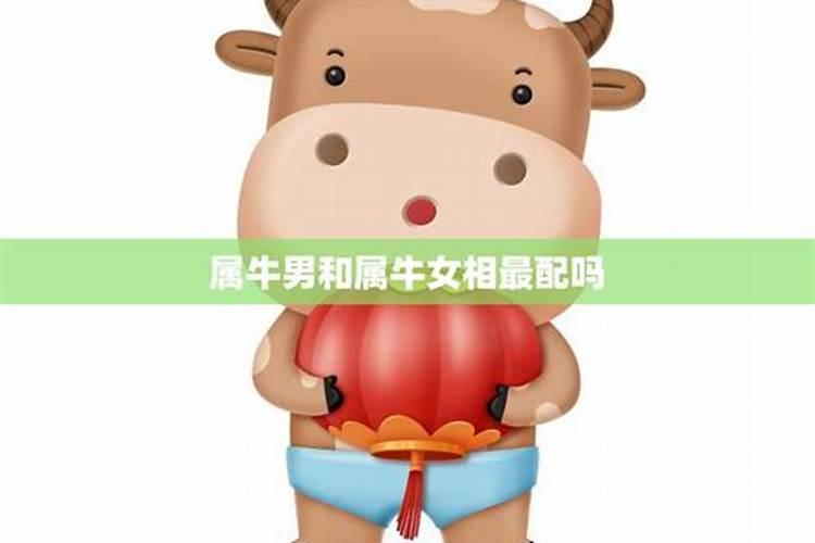 男牛女牛属于上等婚姻,男牛女牛的婚姻顺利吗