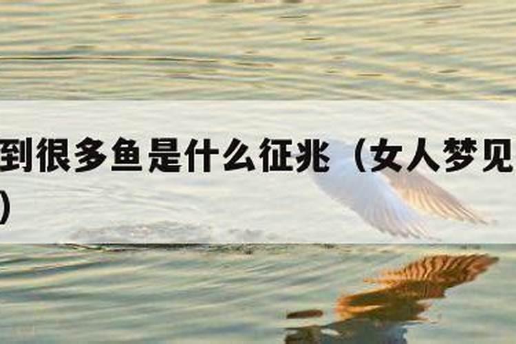 2025年2月4日立春出生女宝宝五行缺什么,八字高分起名字