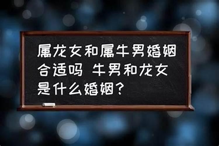 属牛和属龙的婚姻如何,牛与龙配夫妻好不好