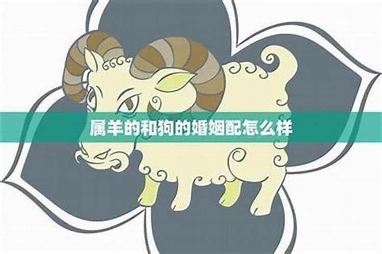属狗女和属羊男婚姻相配吗 二人并不投缘