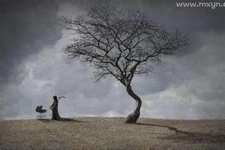 梦见给过世的奶奶上坟我和爸吵架？