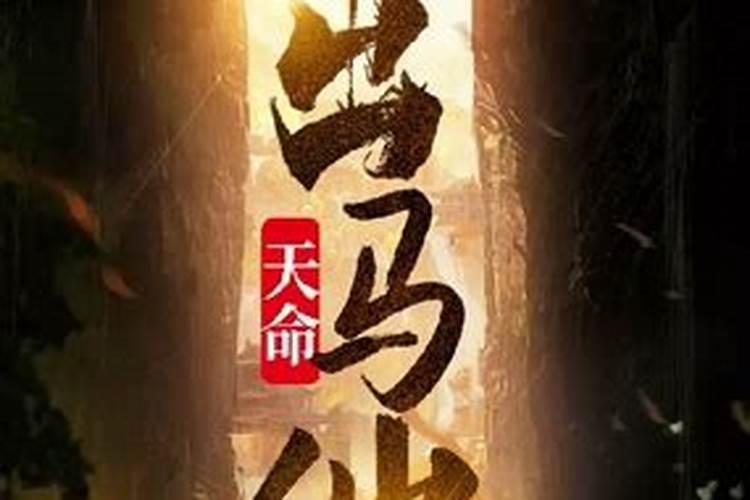 天命出马仙共多少集