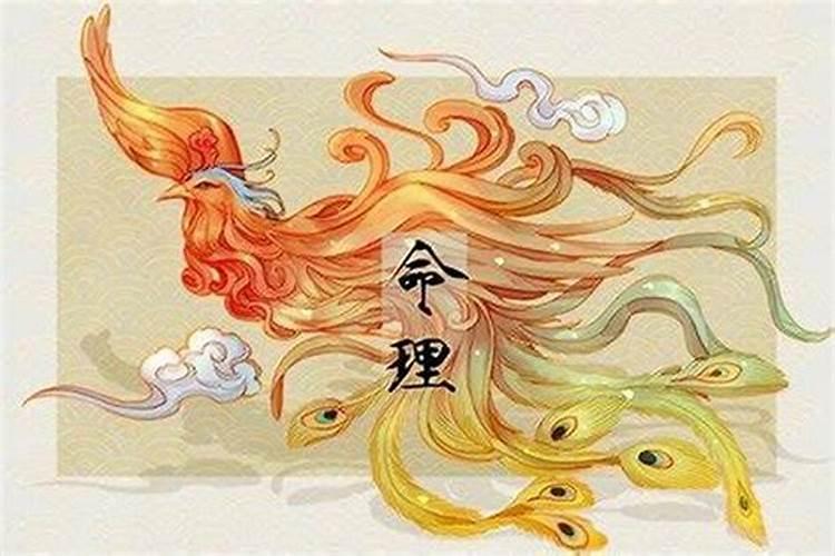 怎样看出有没有儿子命,我命中有儿子吗