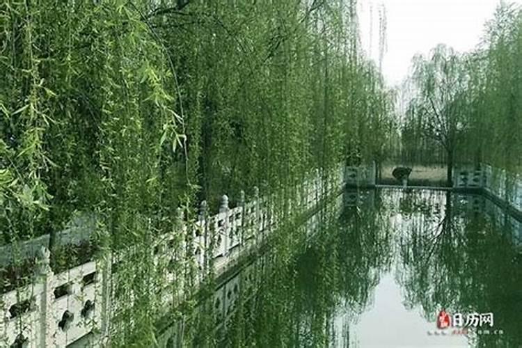 今年清明节几点上坟好