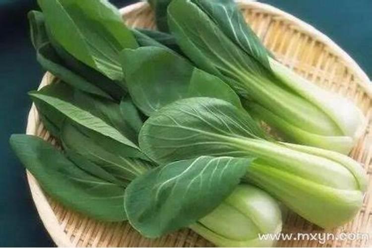 社会活动爱惜粮食说课稿