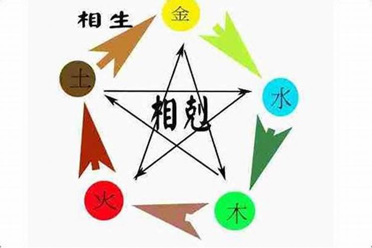 冬至应该吃什么