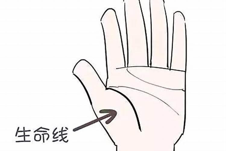 我手纹中的生命线非常短,只有一点,是不是说明我寿命很短呢？这个可以相...