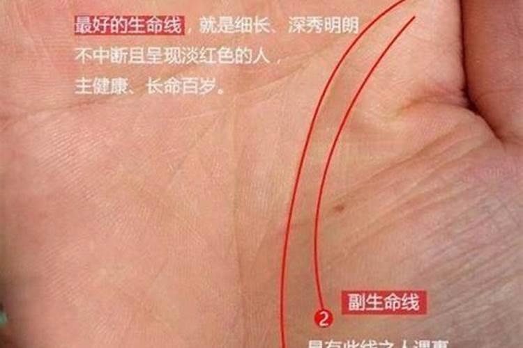 早死的手相特征 可能会短命的手纹