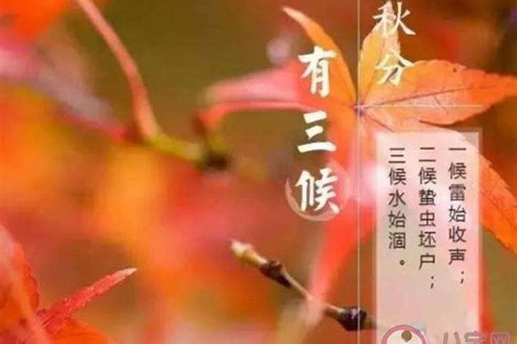 秋分的三候是什么