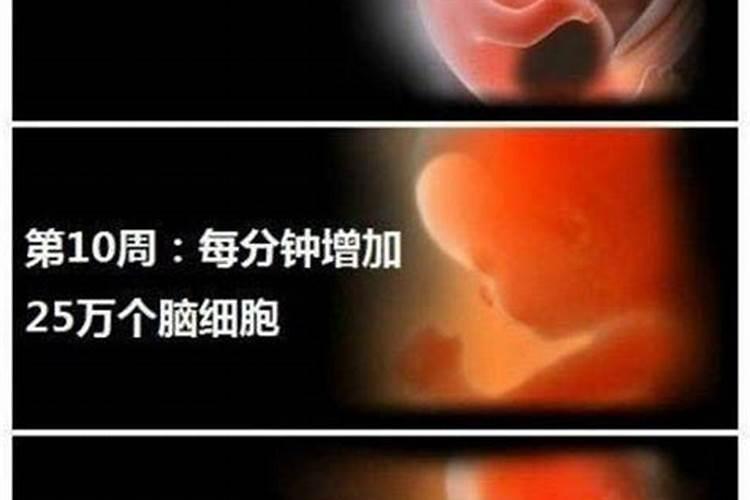请问真的有阴债吗,怎么还