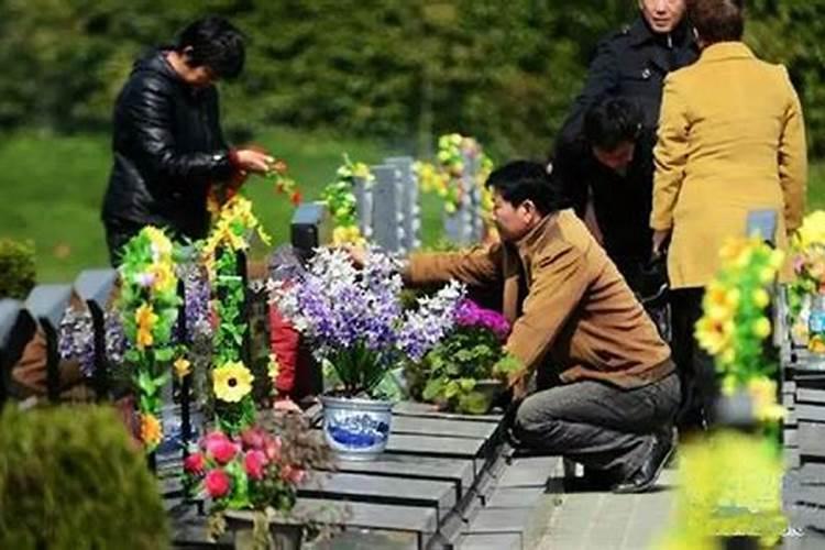 1979年羊人43岁后命运财运 79年属羊人后半生婚姻