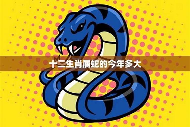 女人梦见把蛇打死了是什么意思