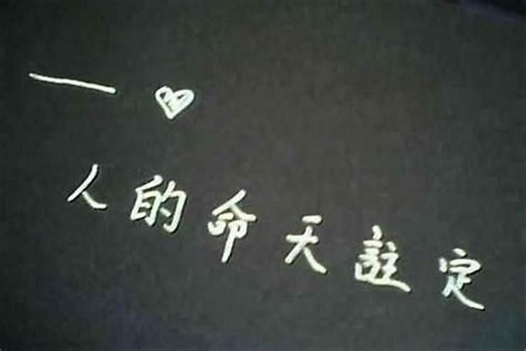 月老殿地址在哪里？