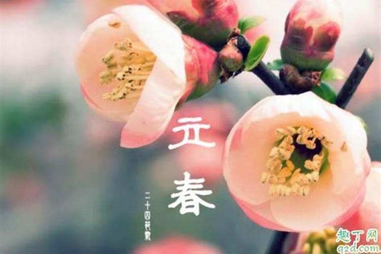每年有什么节日分别是几月几号