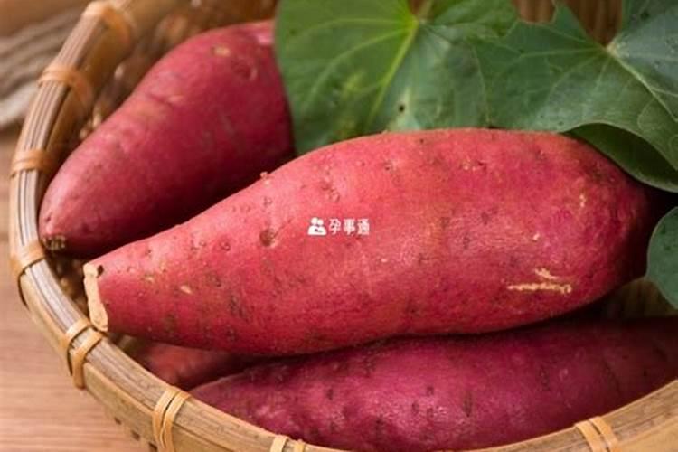 梦见很多地瓜的预兆