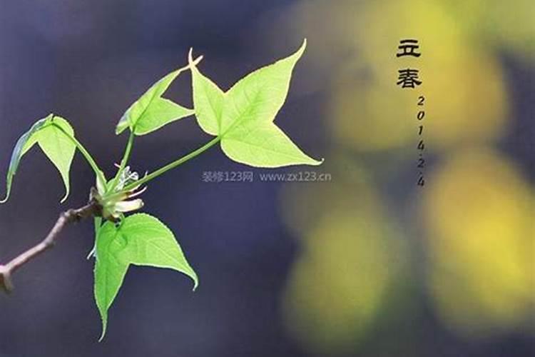 清明节的手抄报三年级内容
