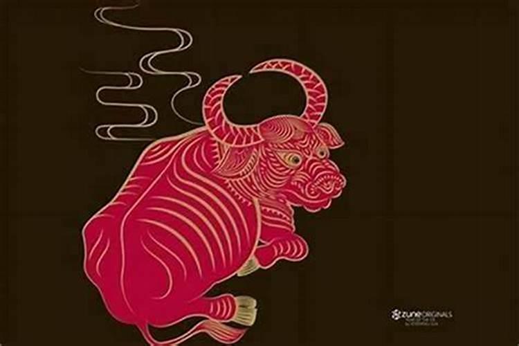 属牛的哪年运势最好？